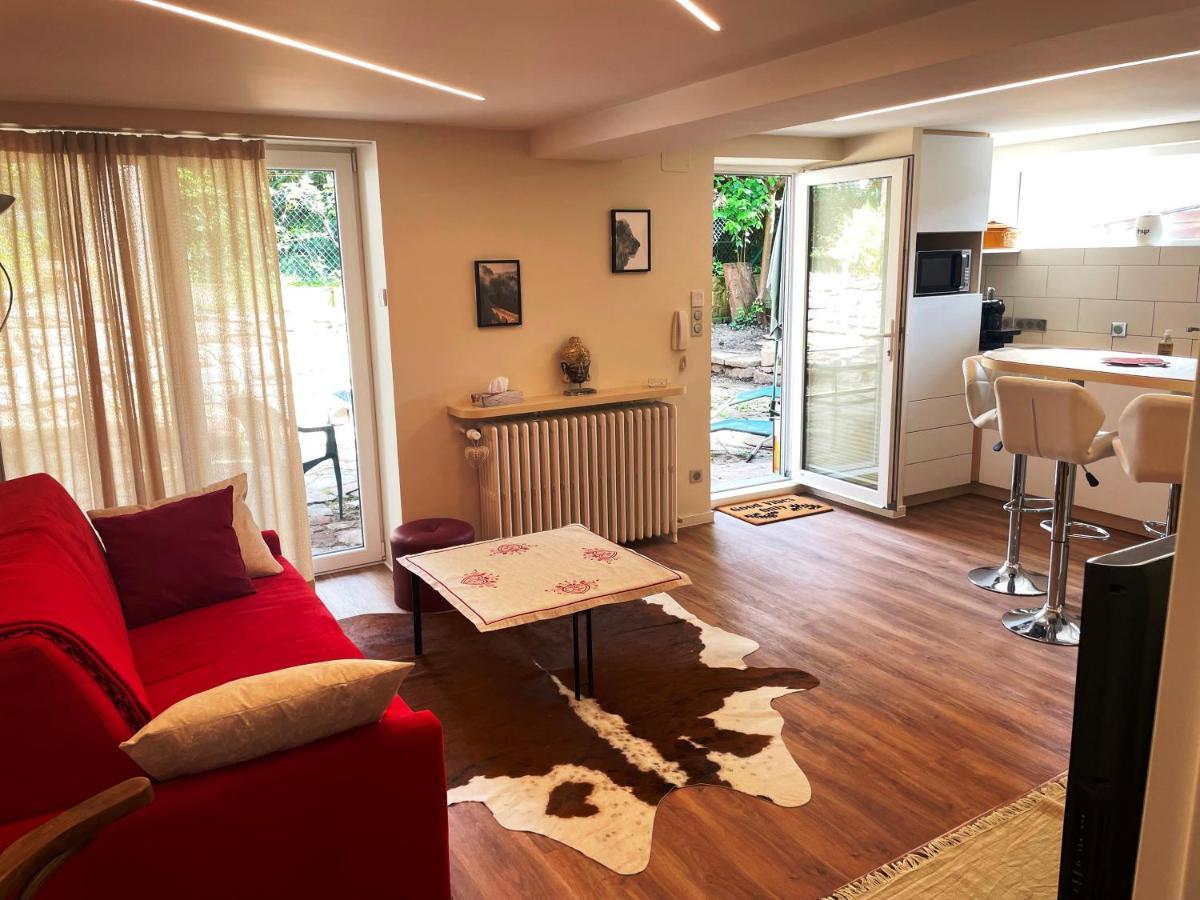 Appart Prive Dans Villa Meinau Residentiel Στρασβούργο Εξωτερικό φωτογραφία