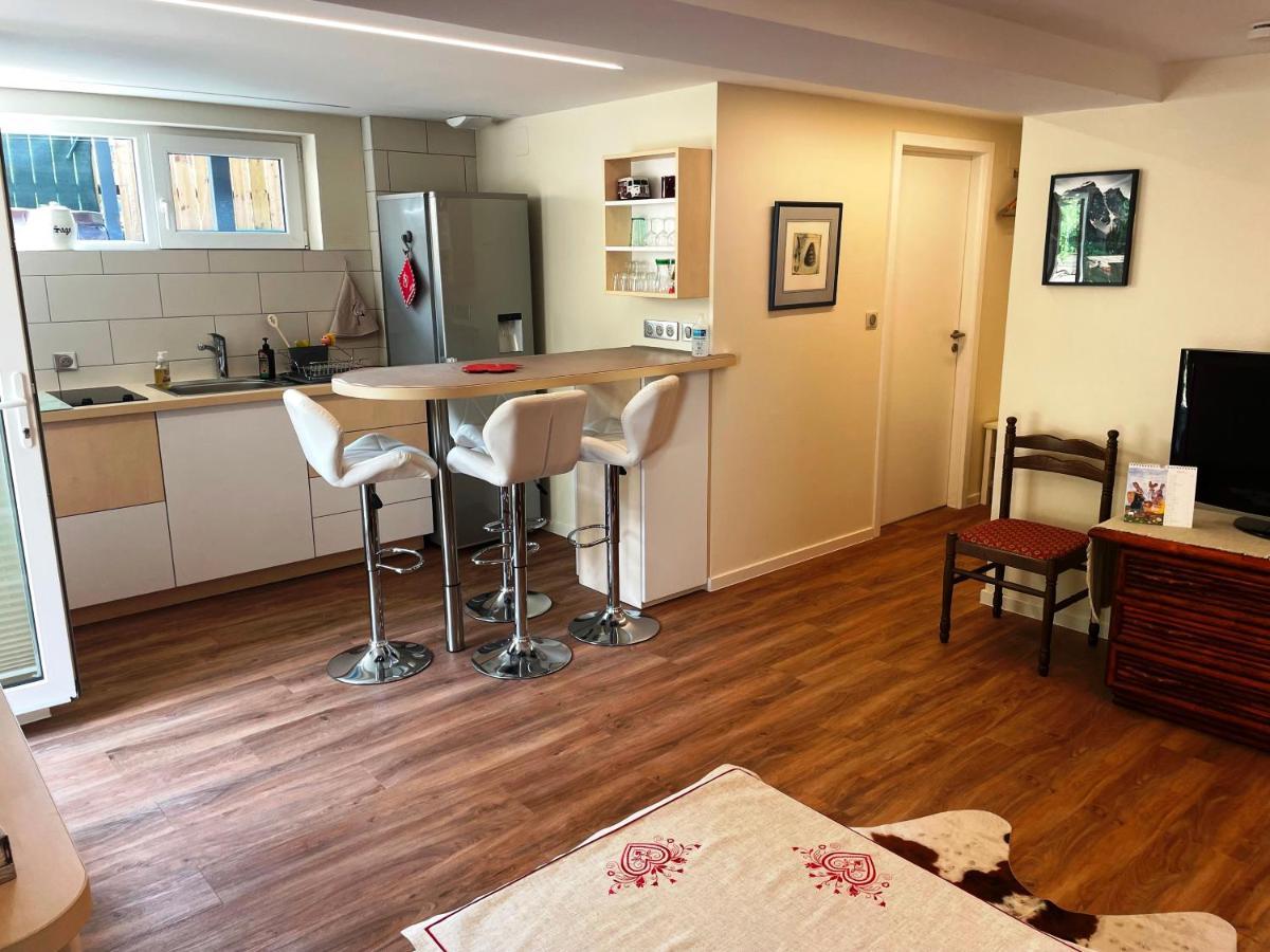 Appart Prive Dans Villa Meinau Residentiel Στρασβούργο Εξωτερικό φωτογραφία